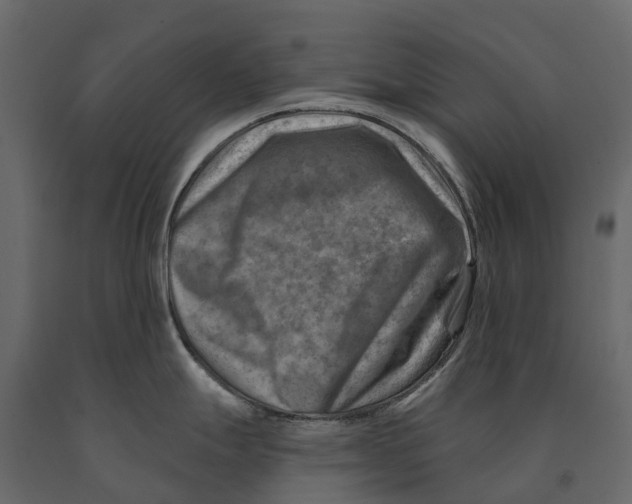 X0000090931247200708271038