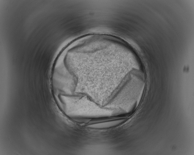 X0000090931248200708271038