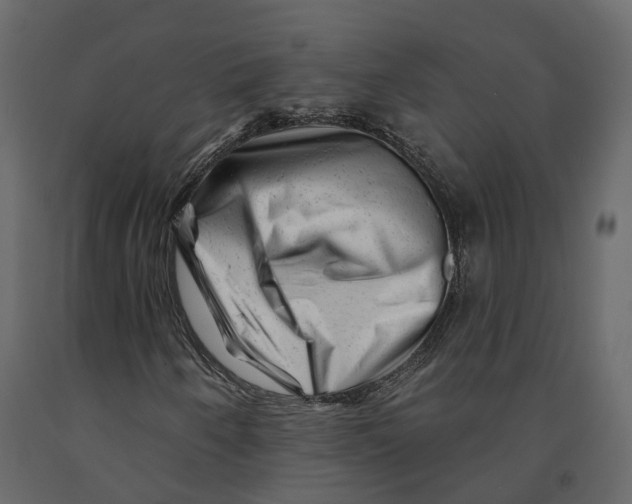 X0000090931250200708271038