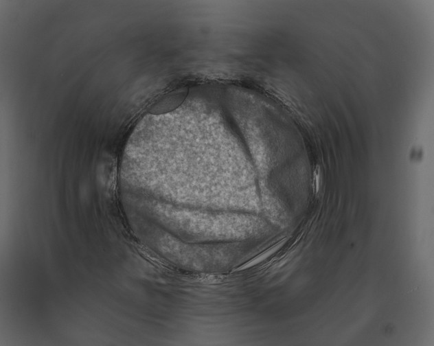 X0000090931251200708271037