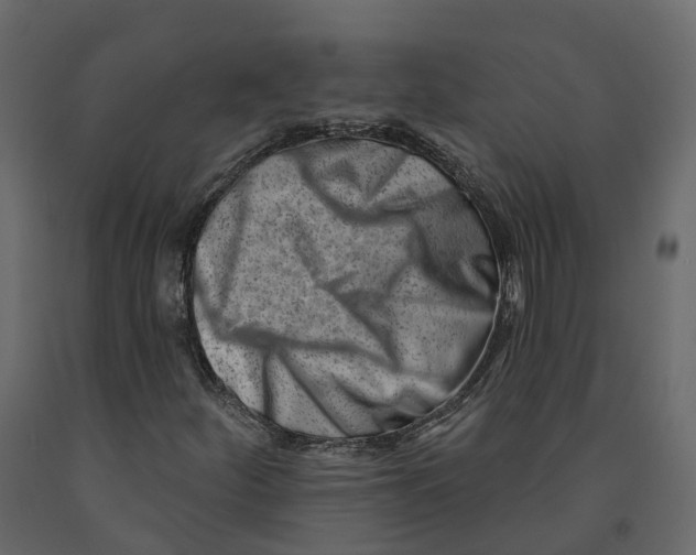 X0000090931252200708271037