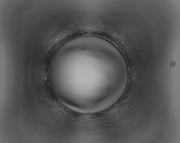 X0000090931253200708271037