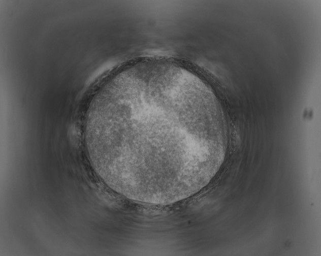 X0000090931254200708271037