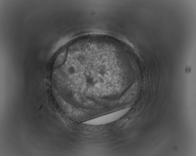 X0000090931255200708271037