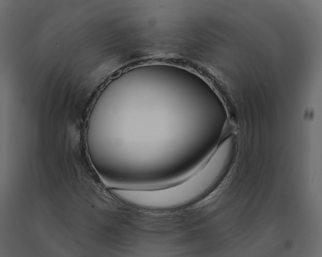 X0000090931257200708271037