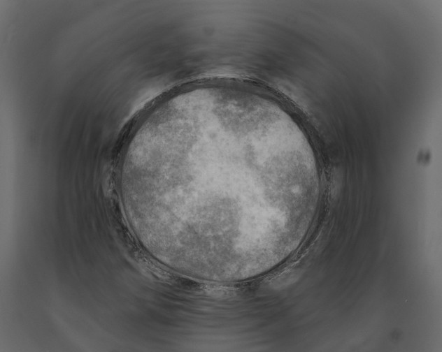 X0000090931258200708271037