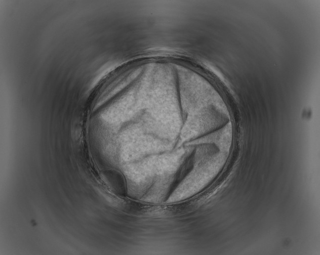 X0000090931259200708271037