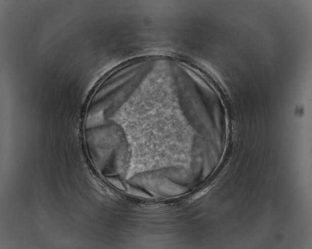 X0000090931260200708271037