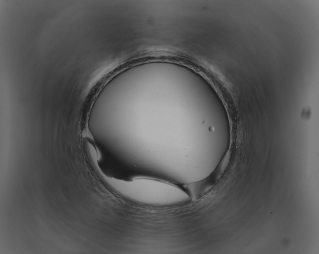 X0000090931261200708271037