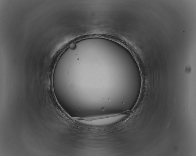 X0000090931262200708271037