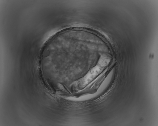 X0000090931263200708271037