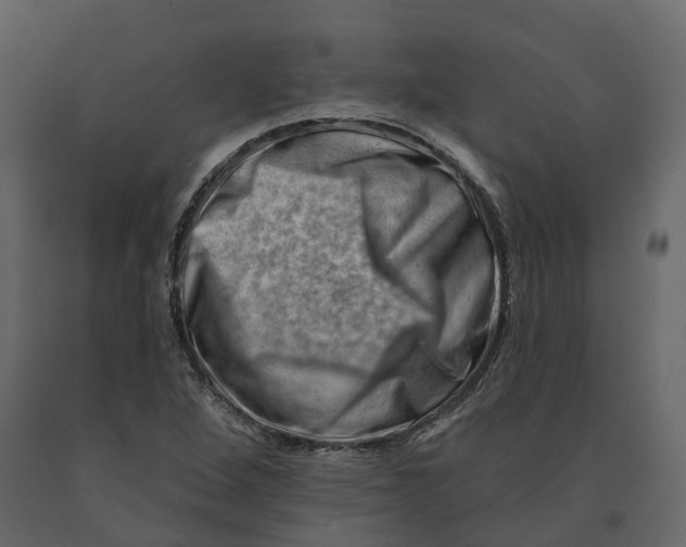 X0000090931264200708271037