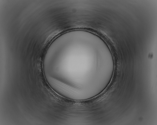 X0000090931265200708271037