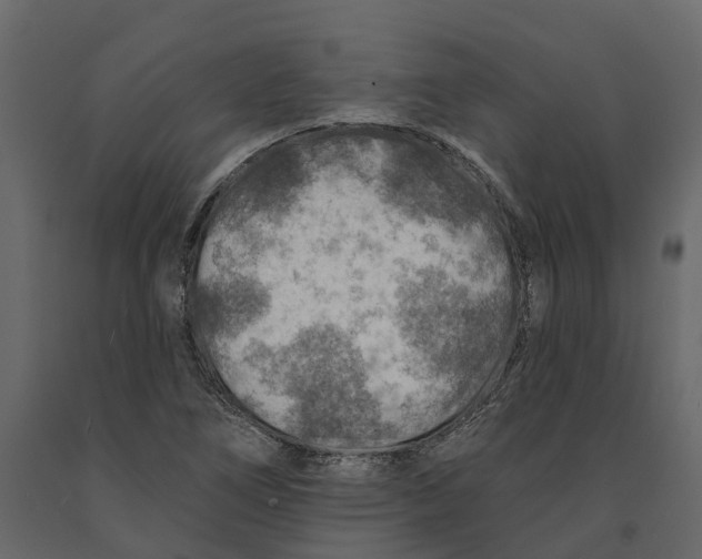 X0000090931266200708271037