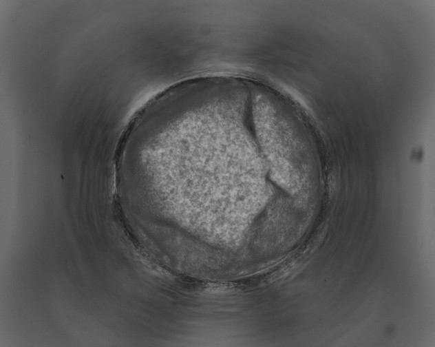 X0000090931267200708271037