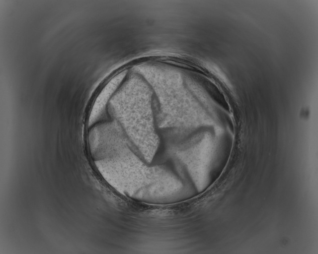 X0000090931268200708271037