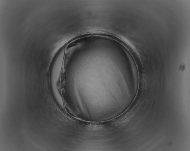 X0000090931269200708271037