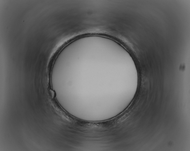 X0000090931270200708271037