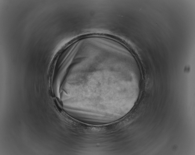 X0000090931271200708271037