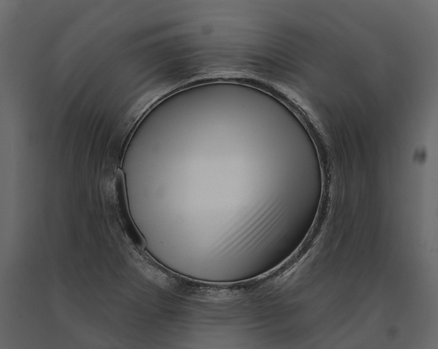 X0000090931273200708271037