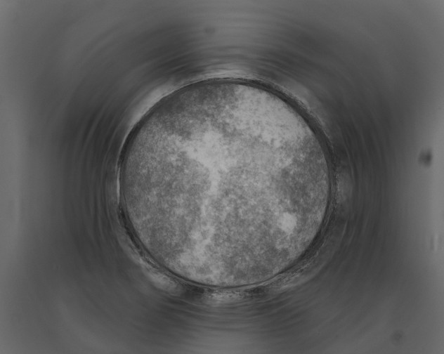 X0000090931274200708271037