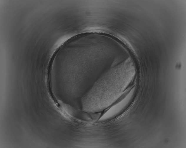 X0000090931277200708271037