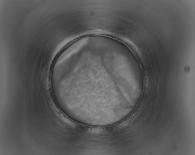 X0000090931278200708271037