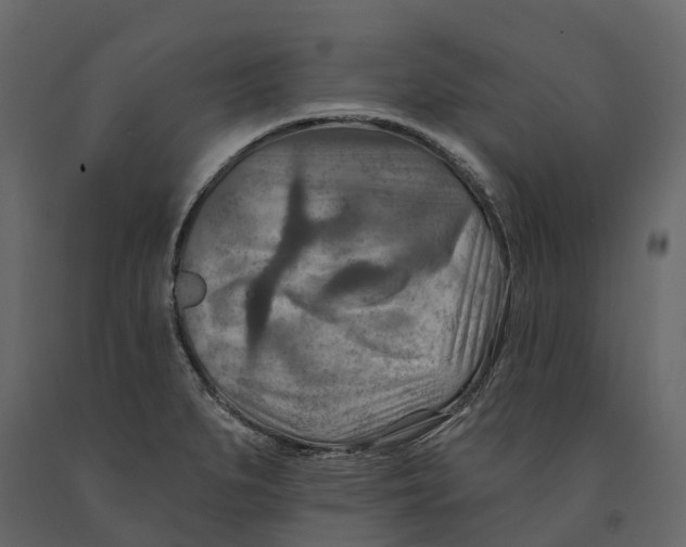 X0000090931279200708271037