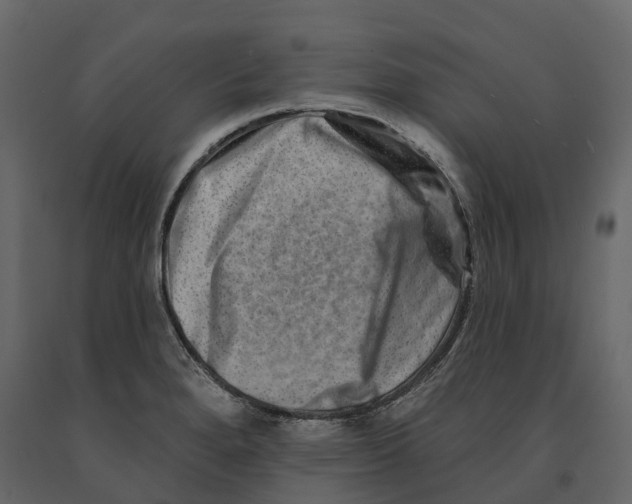 X0000090931280200708271037