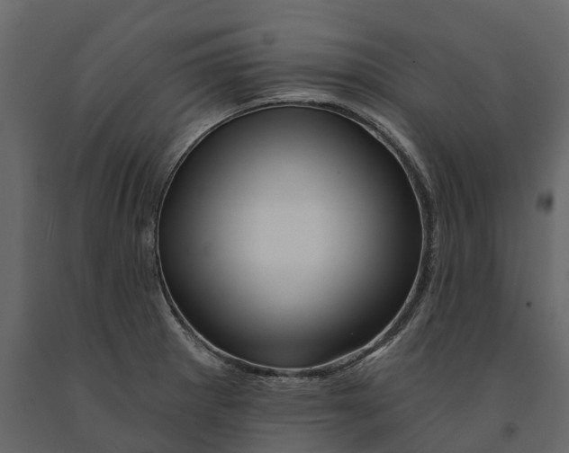 X0000090931281200708271037