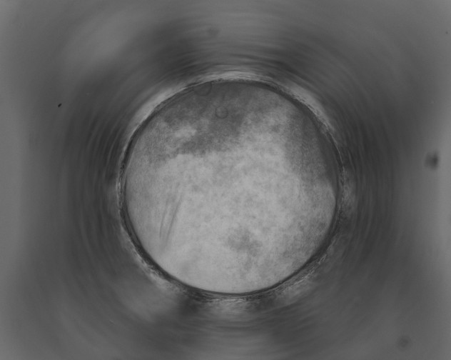 X0000090931282200708271037