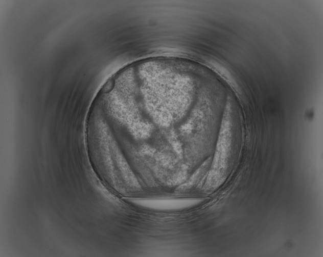 X0000090931283200708271037