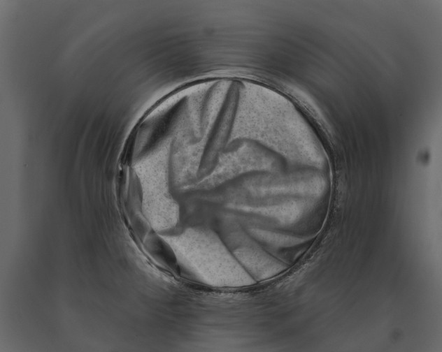 X0000090931284200708271037