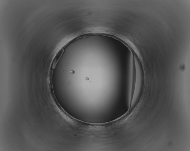 X0000090931285200708271037