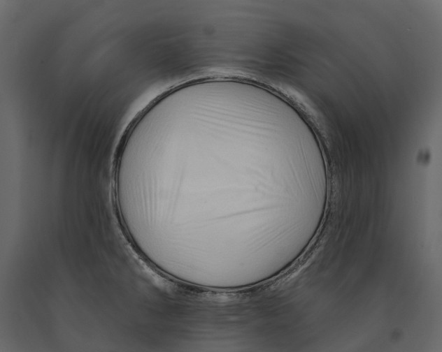 X0000090931286200708271037