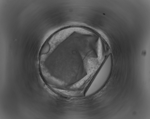 X0000090931287200708271037