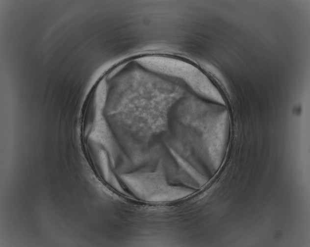 X0000090931288200708271037