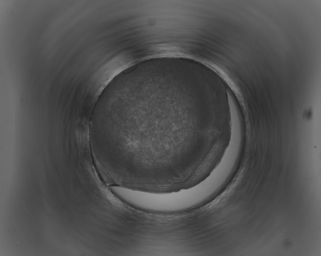 X0000090931289200708271037