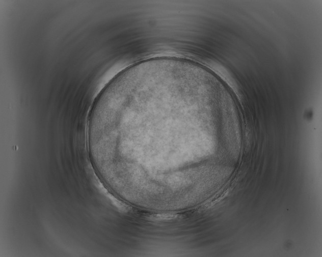 X0000090931290200708271037