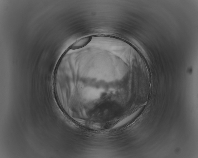 X0000090931291200708271037