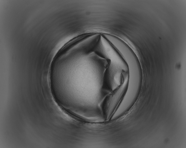 X0000090931293200708271037