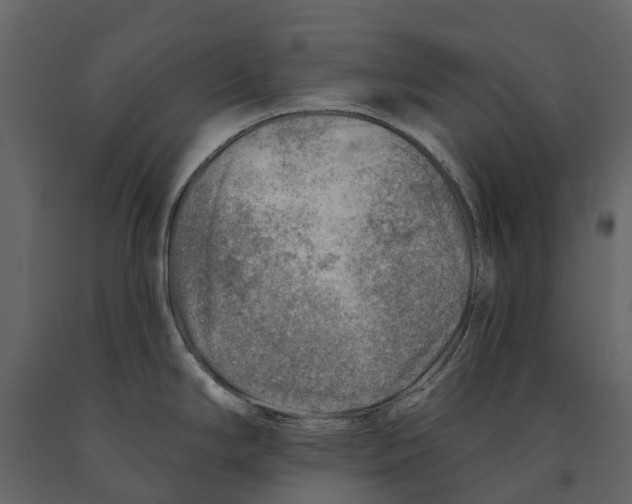 X0000090931294200708271037