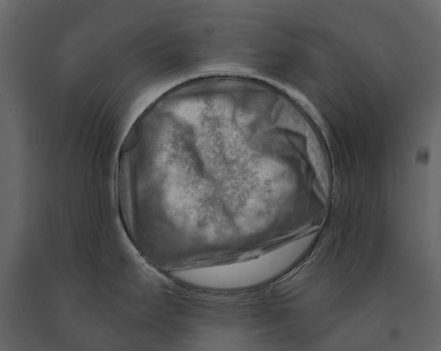 X0000090931295200708271037