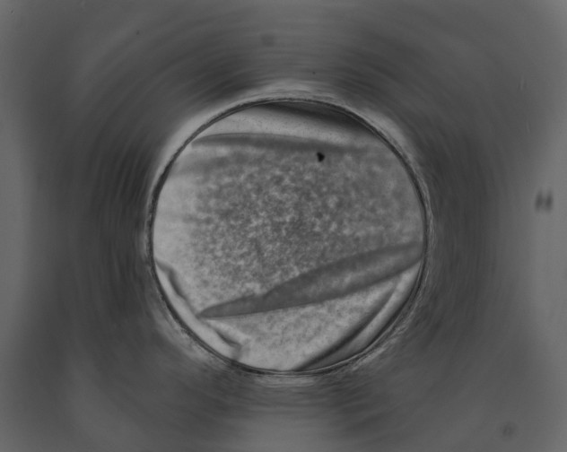 X0000090931296200708271037