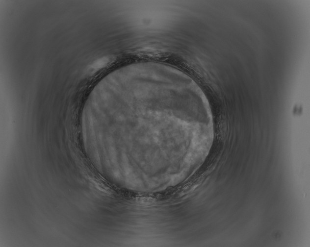 X0000090931297200708271036