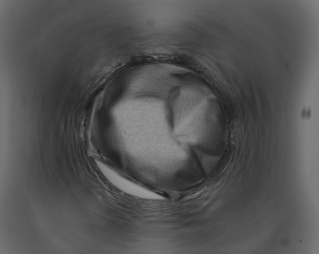 X0000090931298200708271036