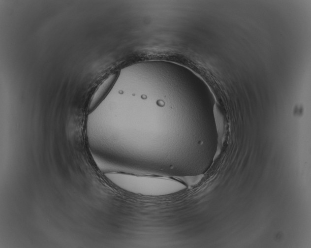 X0000090931300200708271036