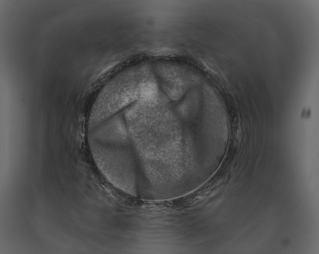 X0000090931301200708271036