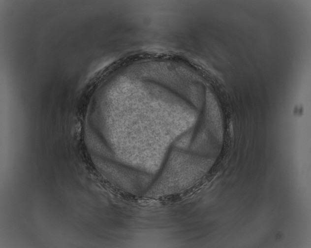 X0000090931302200708271036