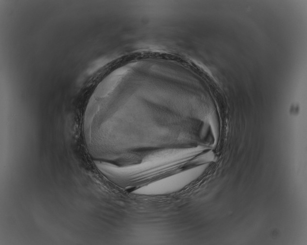 X0000090931303200708271036